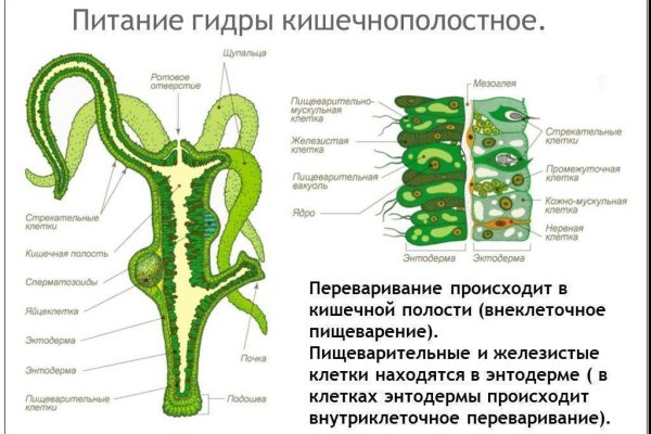 Восстановить аккаунт кракен