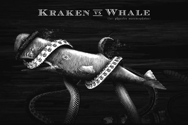 Kraken ltd