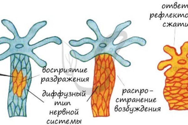 Kraken 14 at сайт