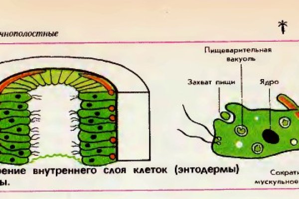 Онион сайты