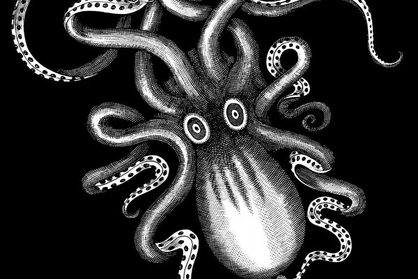 Сайты даркнета 2022 kraken